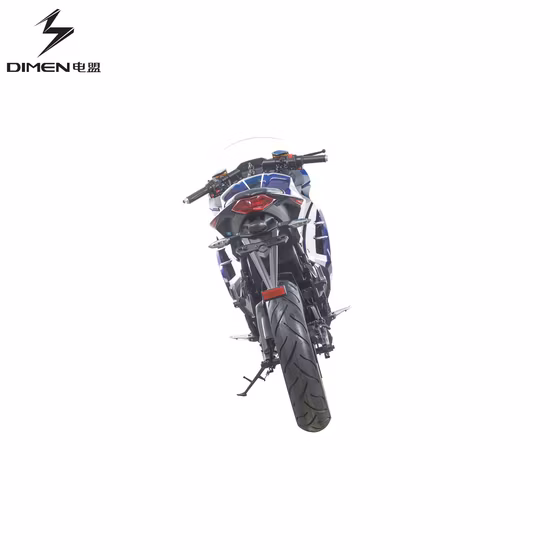 Zweirädriges Elektro-Rennrad Direkt Beste Qualität Beliebtes cooles OEM-Elektromotorrad 2000W-5000W Elektro-Rennmotorräder Elektro-Motorrad E-Bike
